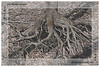 amazed > everyone needs roots